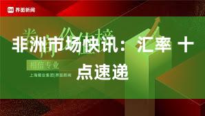 非洲市场快讯：汇率 十点速递