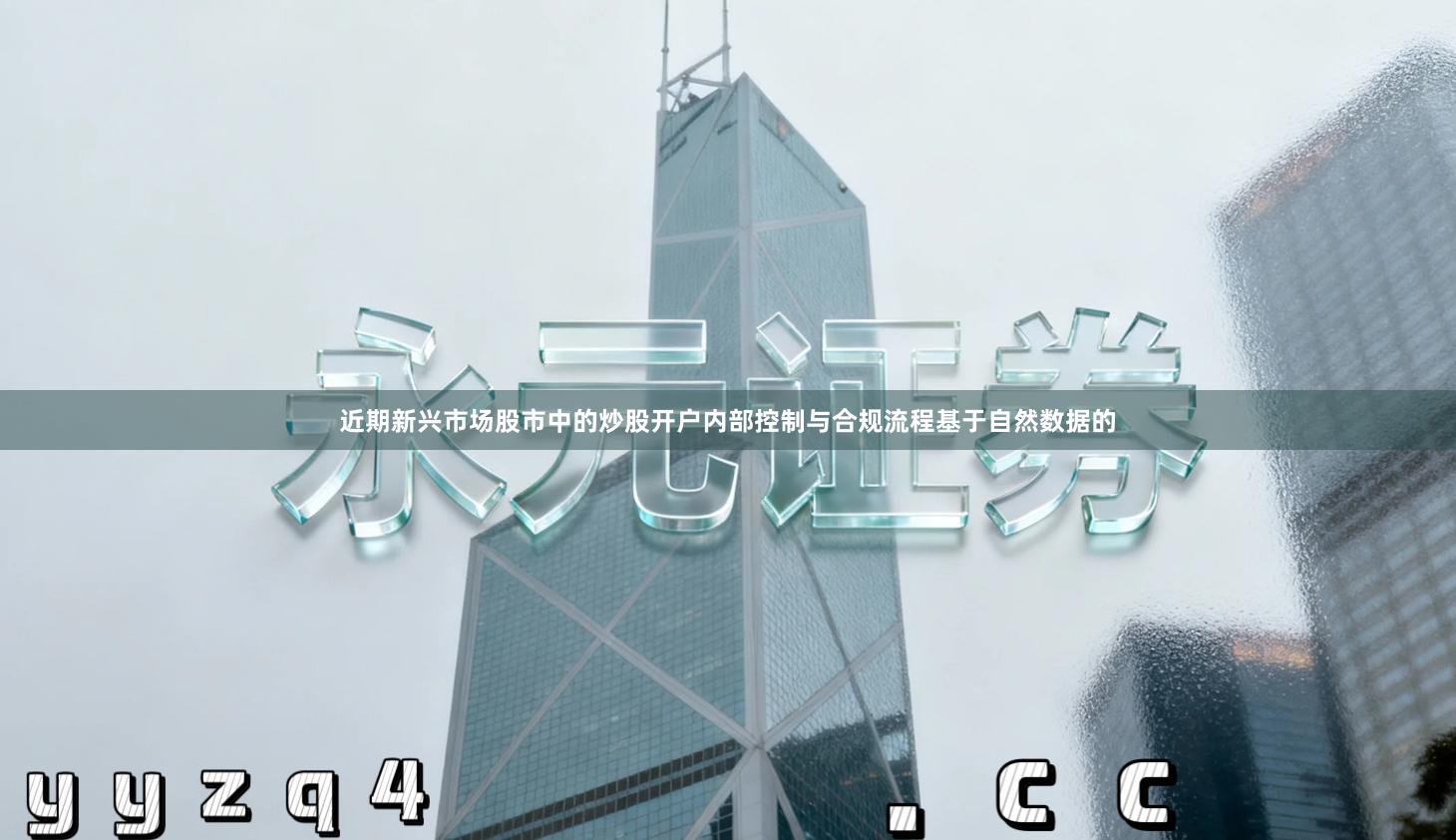 近期新兴市场股市中的炒股开户内部控制与合规流程基于自然数据的